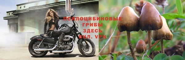 эйфоретик Армянск
