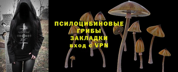 меф Арсеньев